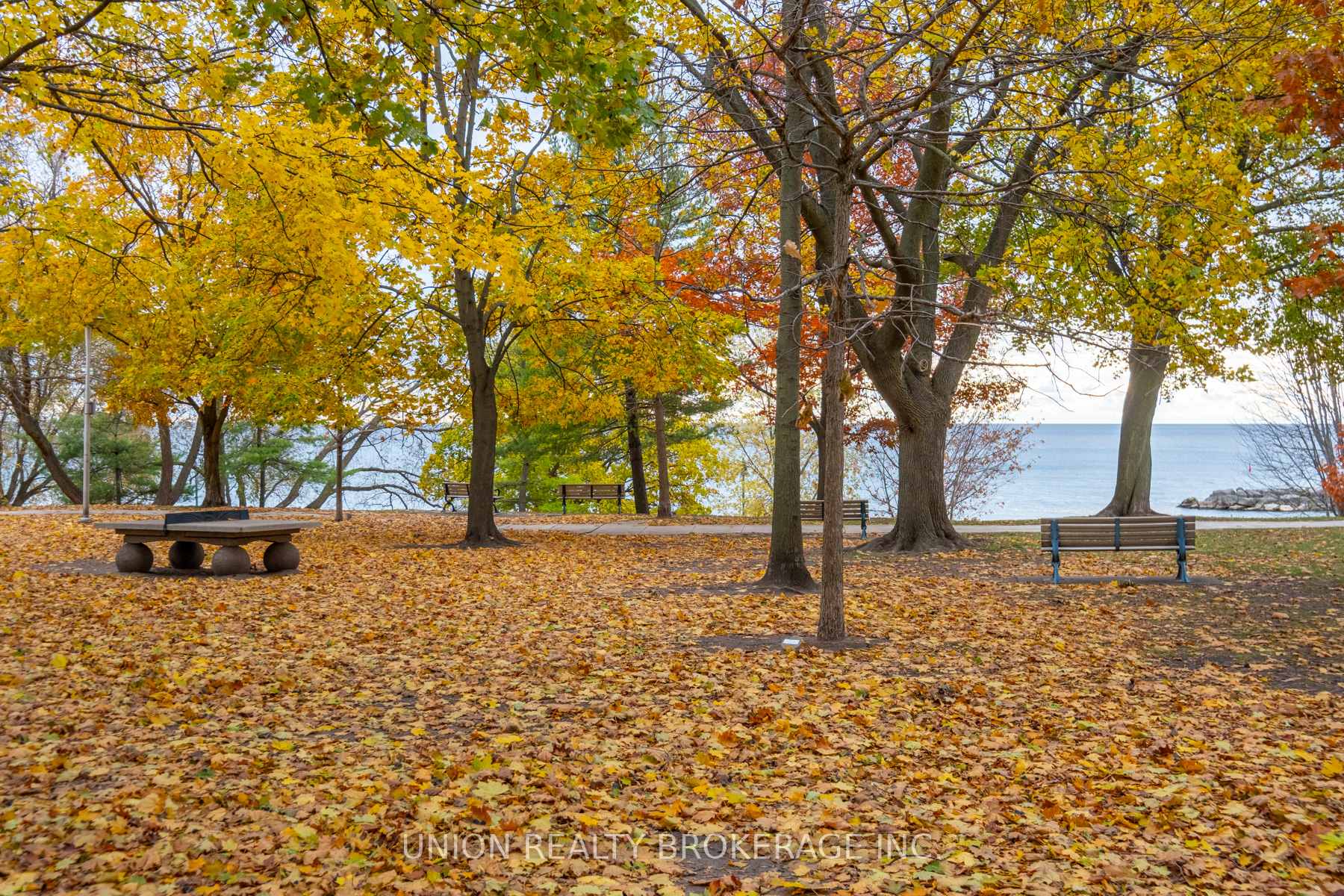 Photo 18 of 54 Willow Avenue, Toronto, The Beaches — HOMEH