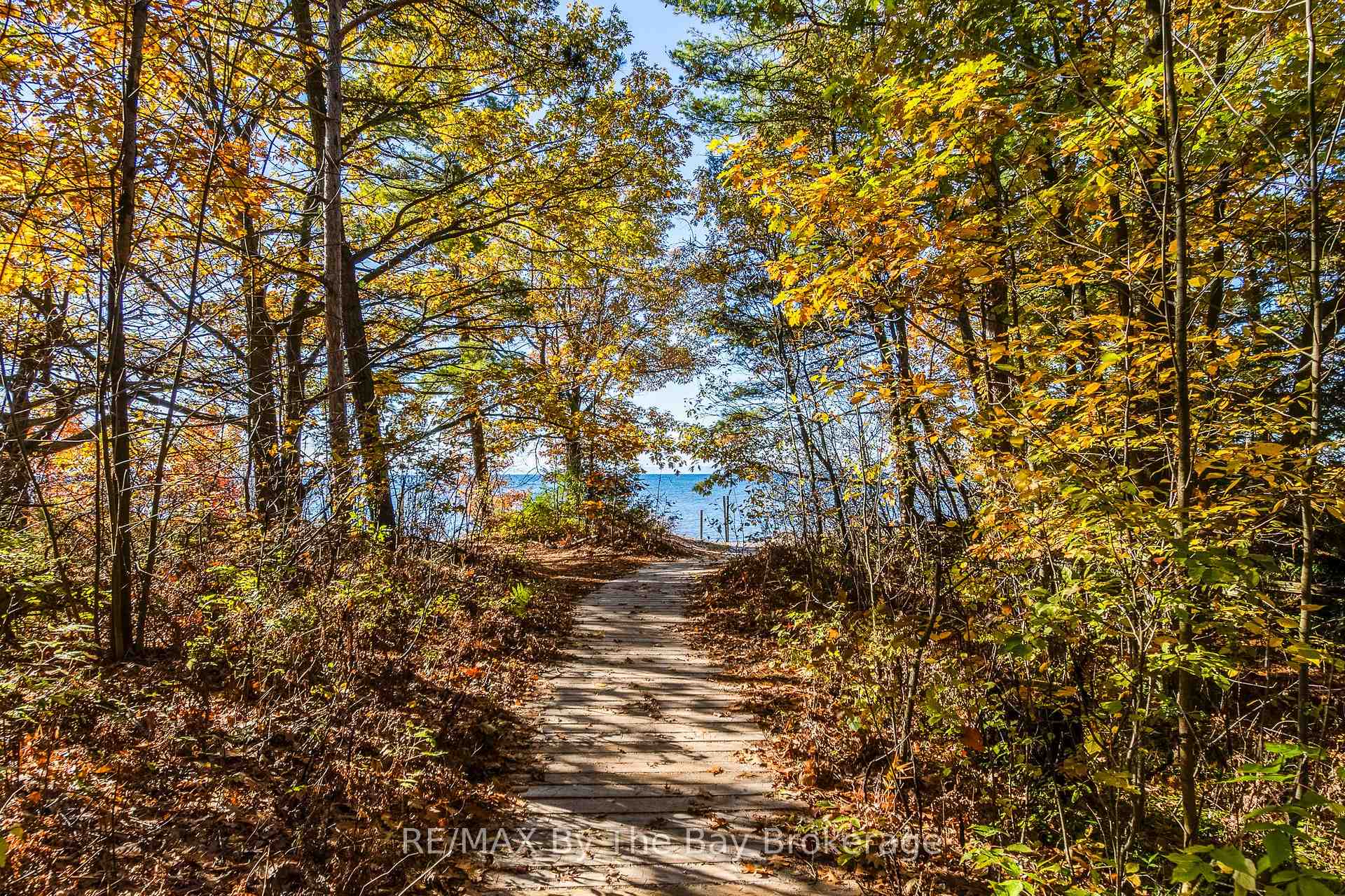 Photo 15 of 57 Tall Pines Drive, Tiny, Rural Tiny — HOMEH