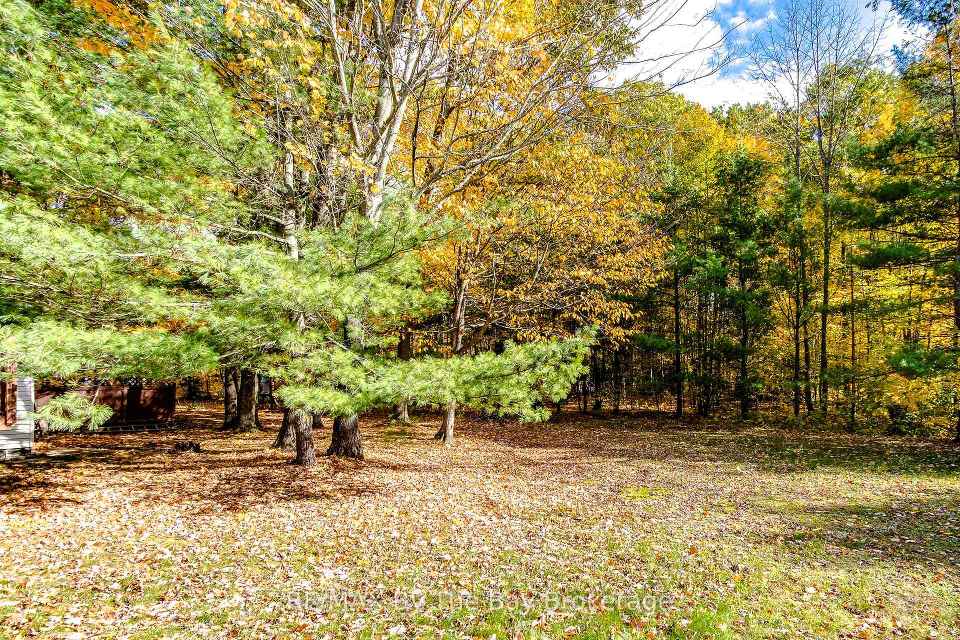 Photo 31 of 57 Tall Pines Drive, Tiny, Rural Tiny — HOMEH