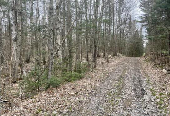 Photo 4 of Adams Road, Strong — HOMEH