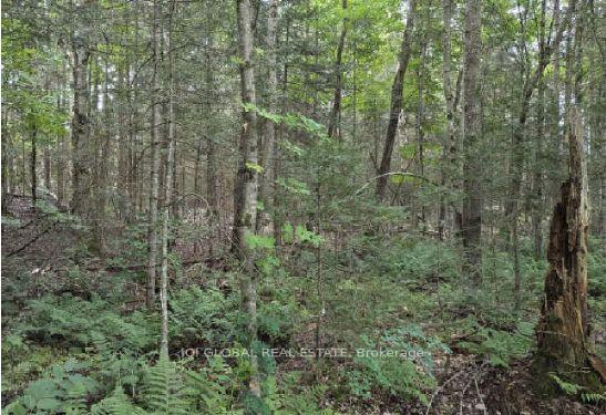 Photo 5 of Adams Road, Strong — HOMEH