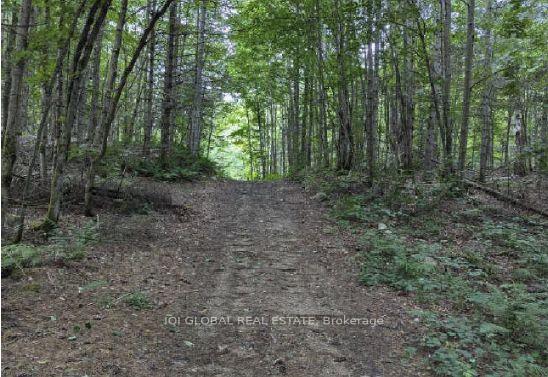 Photo 6 of Adams Road, Strong — HOMEH