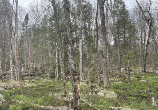 Photo 7 of Adams Road, Strong — HOMEH