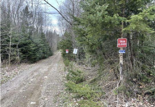 Photo 8 of Adams Road, Strong — HOMEH