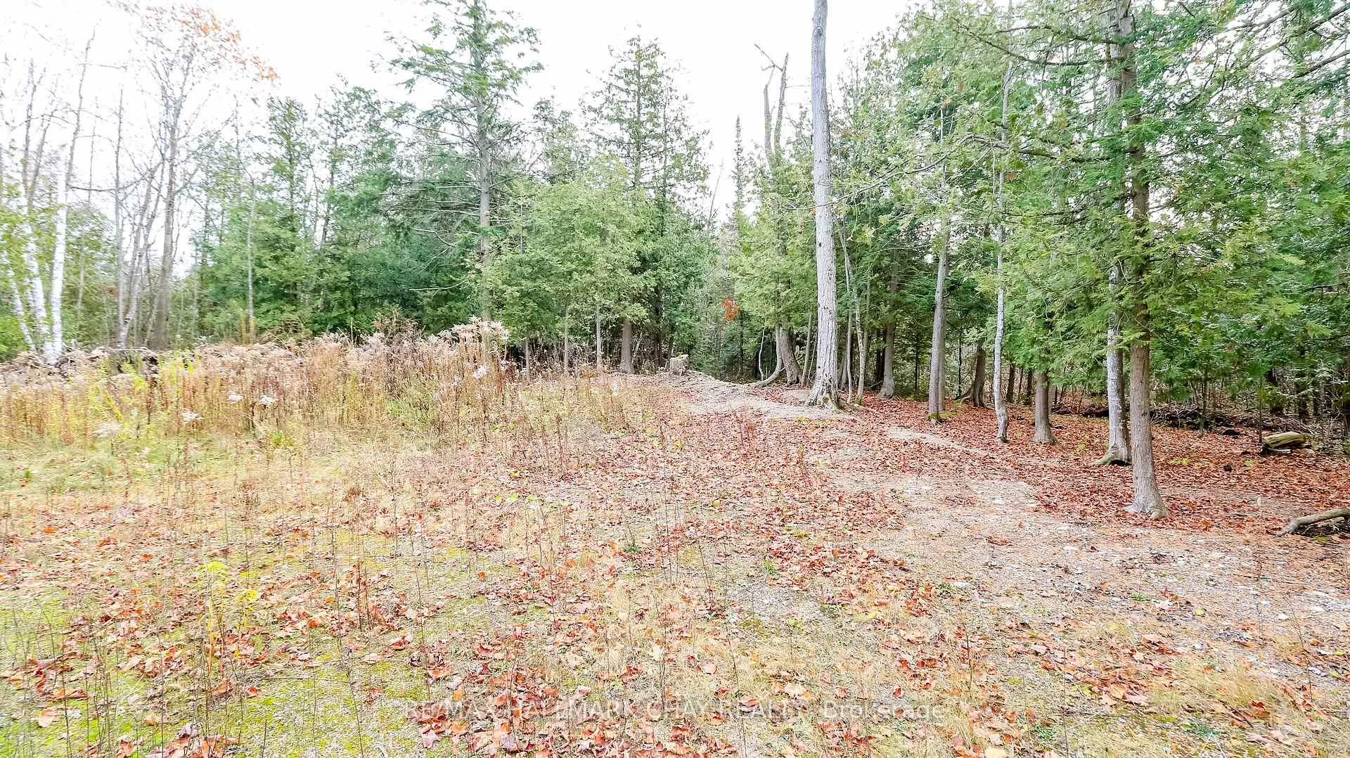 Photo 7 of 2576 Champlain Road, Tiny, Rural Tiny — HOMEH