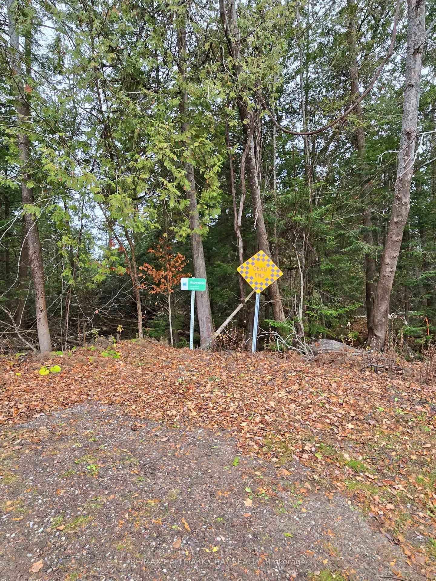 Photo 31 of 2576 Champlain Road, Tiny, Rural Tiny — HOMEH