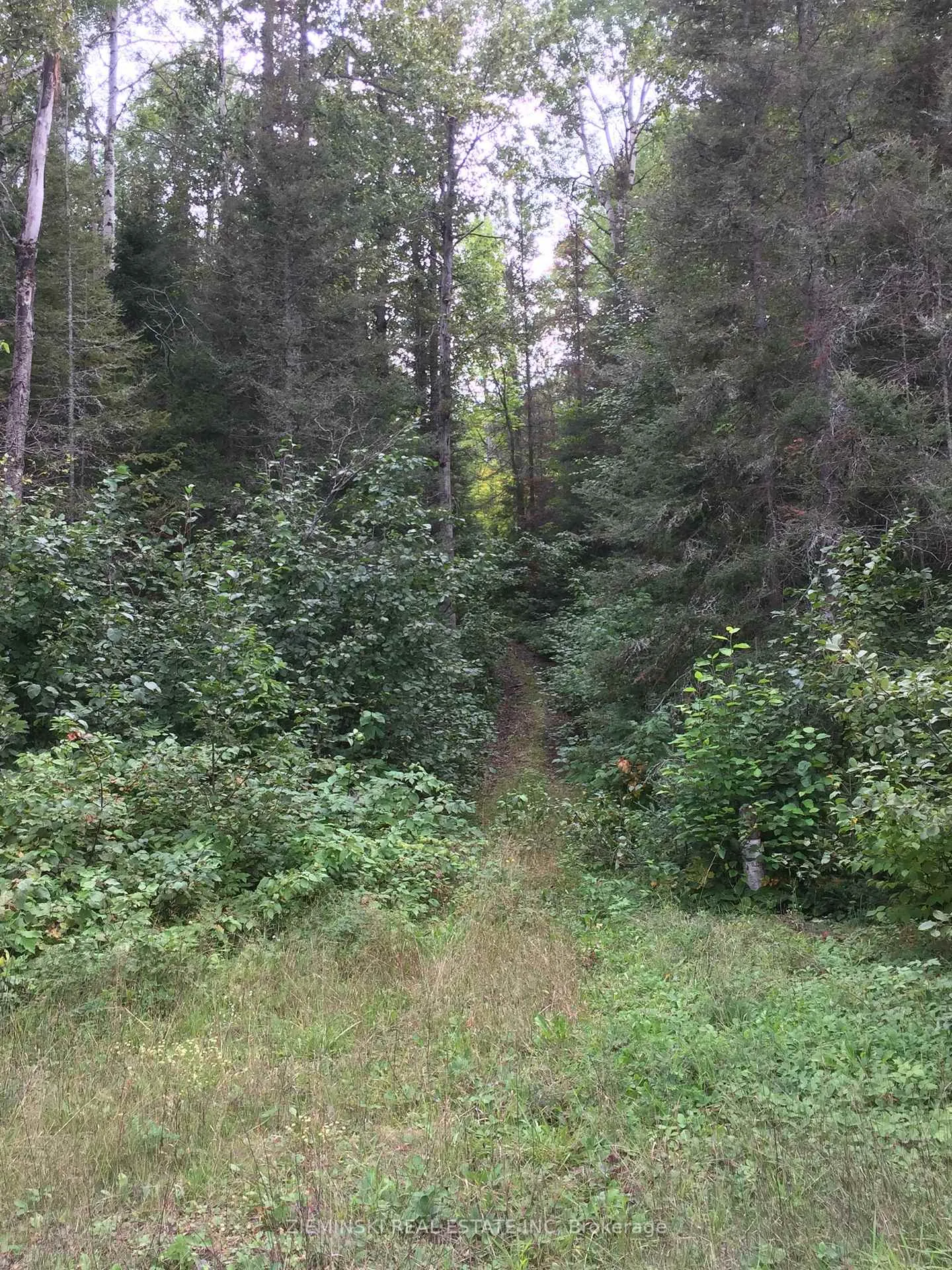 Photo 4 of PT Lot 2 Con 4 Coleman, Timiskaming, TIM - Outside - Rural — HOMEH
