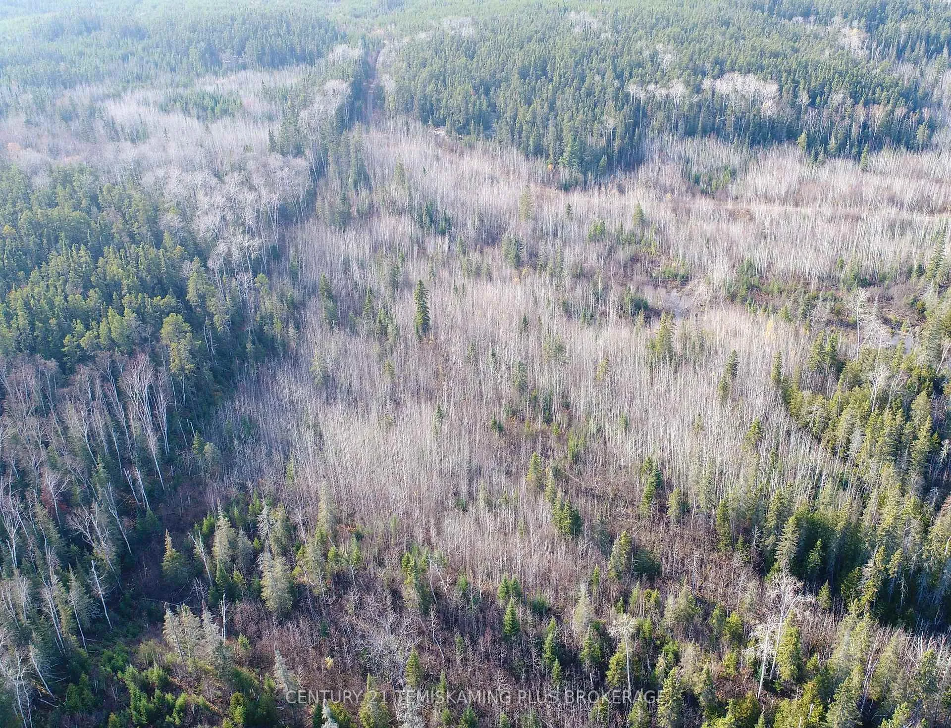 Photo 6 of Lot 11 Con 4, Long Lake, Timiskaming, TIM - Outside - Rural — HOMEH