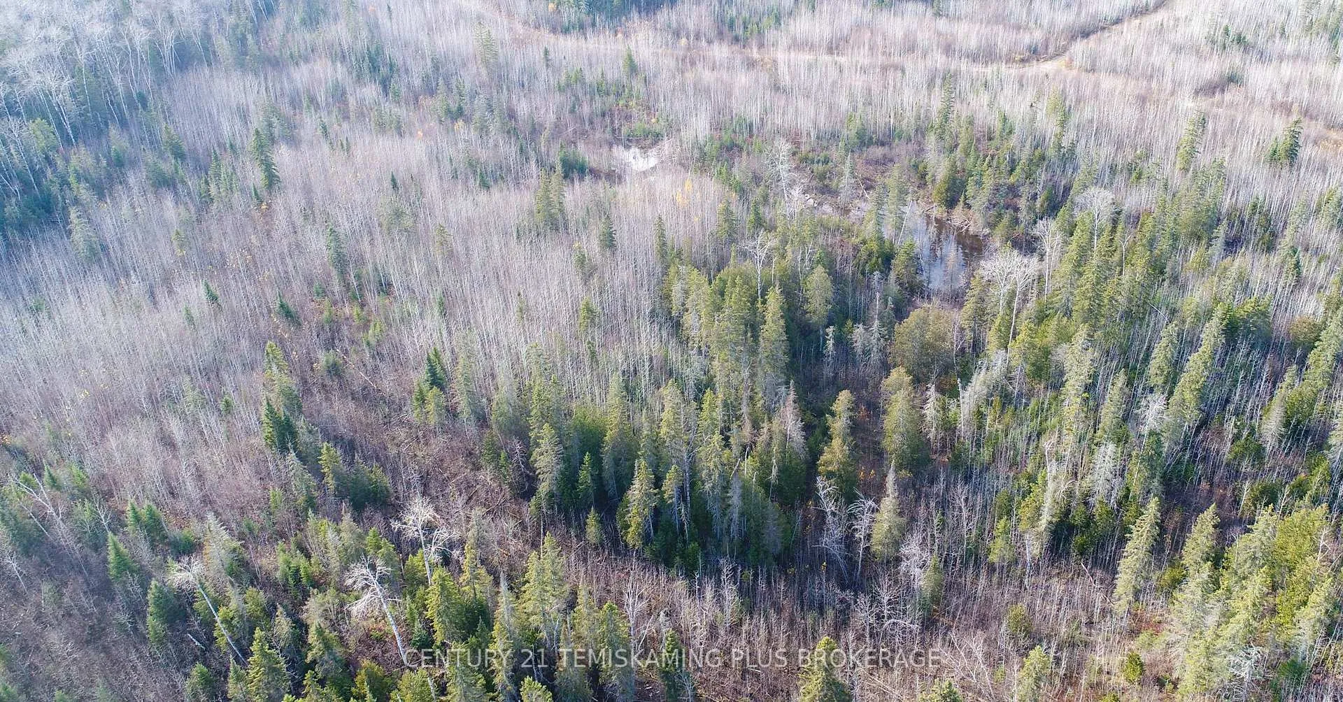 Photo 9 of Lot 11 Con 4, Long Lake, Timiskaming, TIM - Outside - Rural — HOMEH