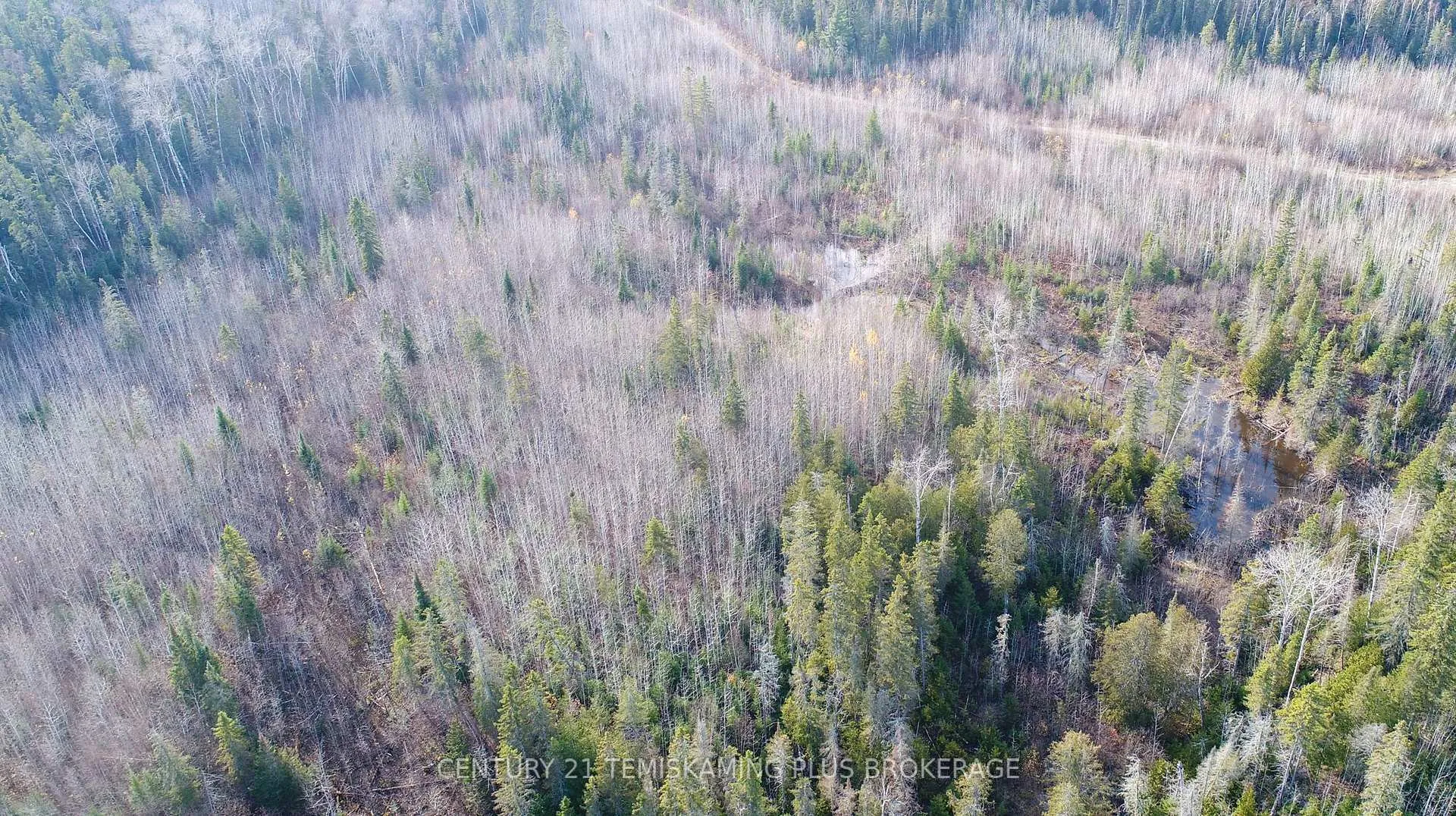 Photo 10 of Lot 11 Con 4, Long Lake, Timiskaming, TIM - Outside - Rural — HOMEH