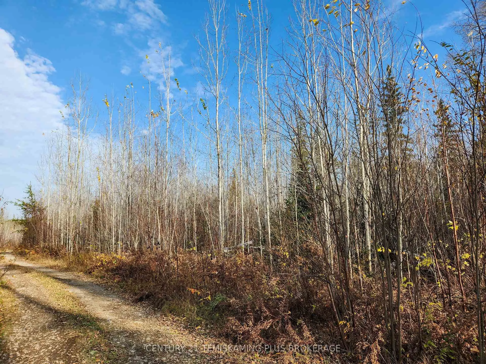 Photo 21 of Lot 11 Con 4, Long Lake, Timiskaming, TIM - Outside - Rural — HOMEH