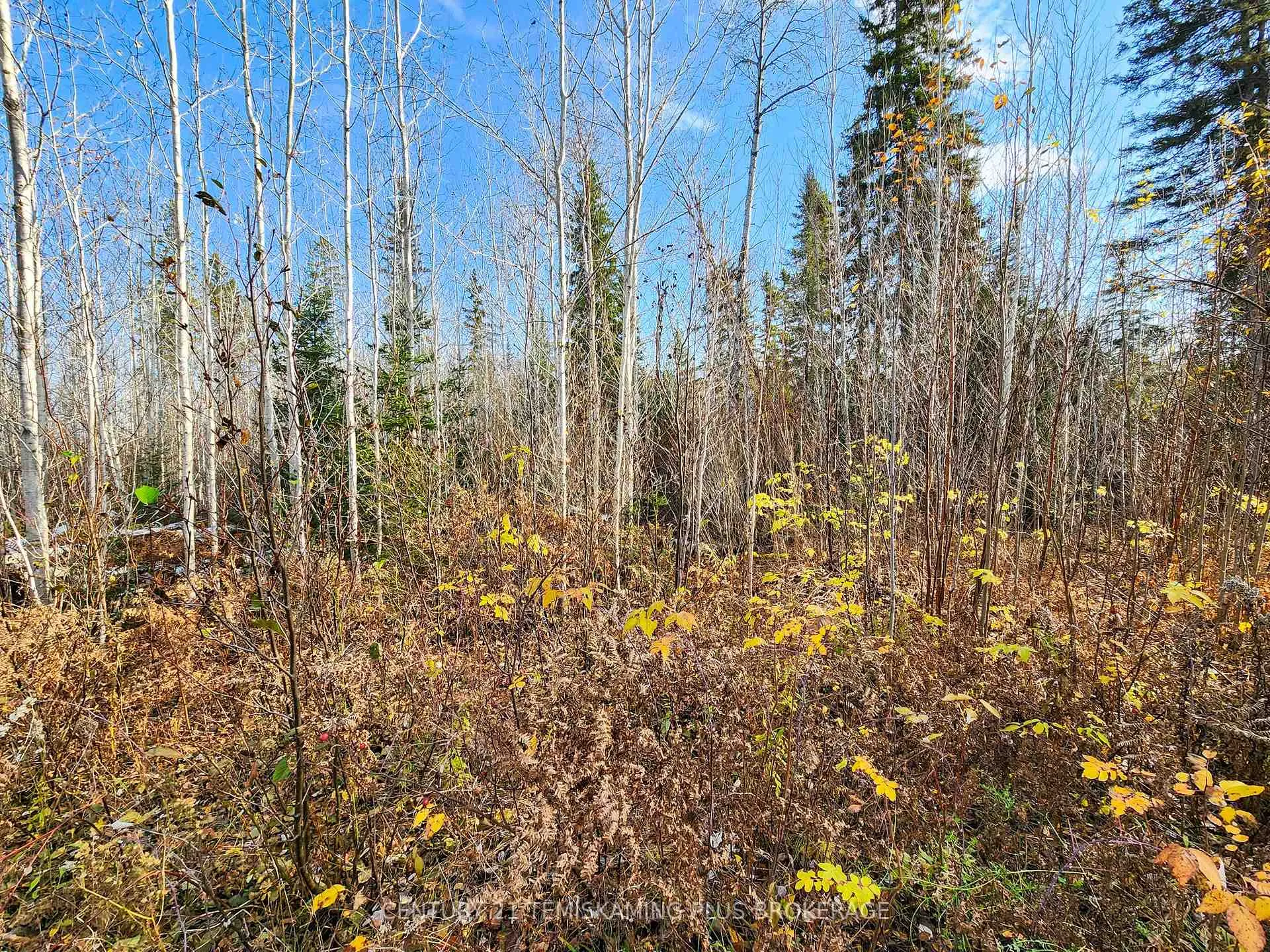 Photo 22 of Lot 11 Con 4, Long Lake, Timiskaming, TIM - Outside - Rural — HOMEH