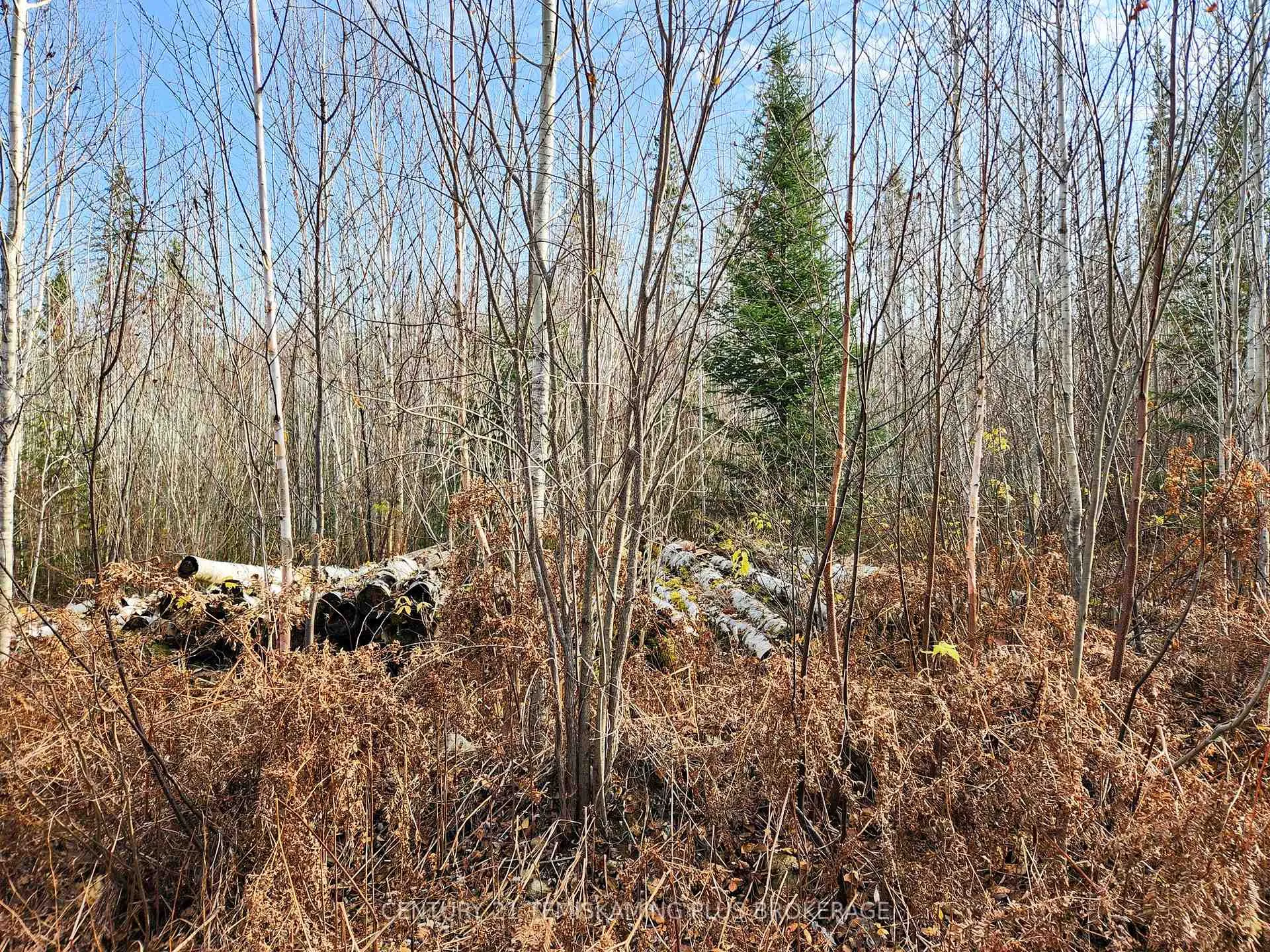 Photo 23 of Lot 11 Con 4, Long Lake, Timiskaming, TIM - Outside - Rural — HOMEH