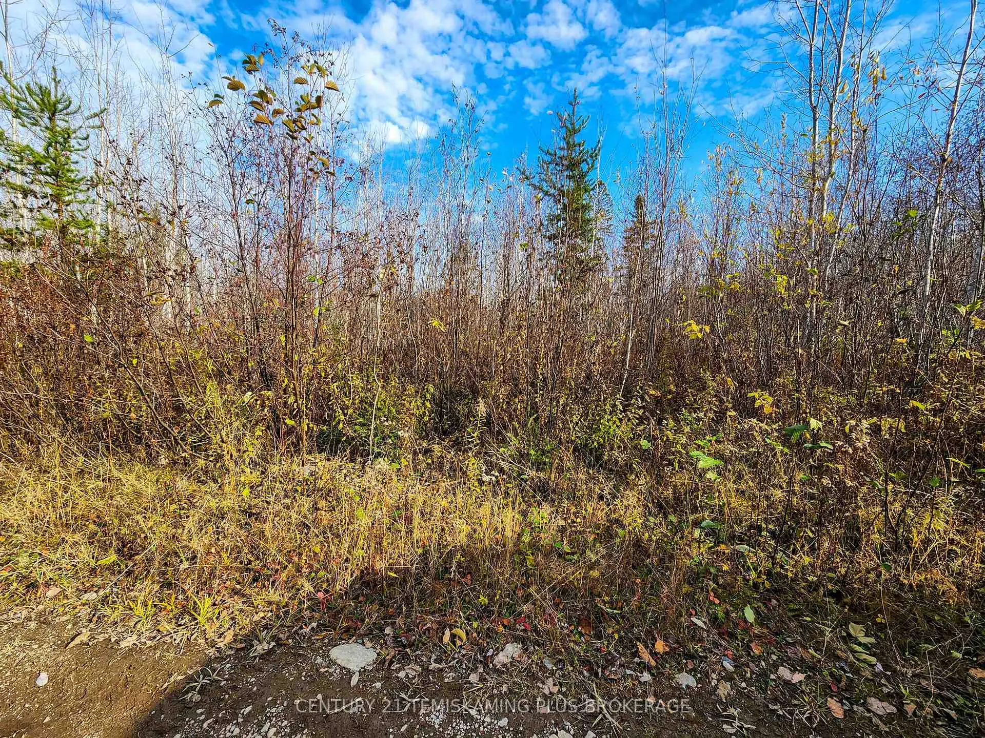 Photo 24 of Lot 11 Con 4, Long Lake, Timiskaming, TIM - Outside - Rural — HOMEH