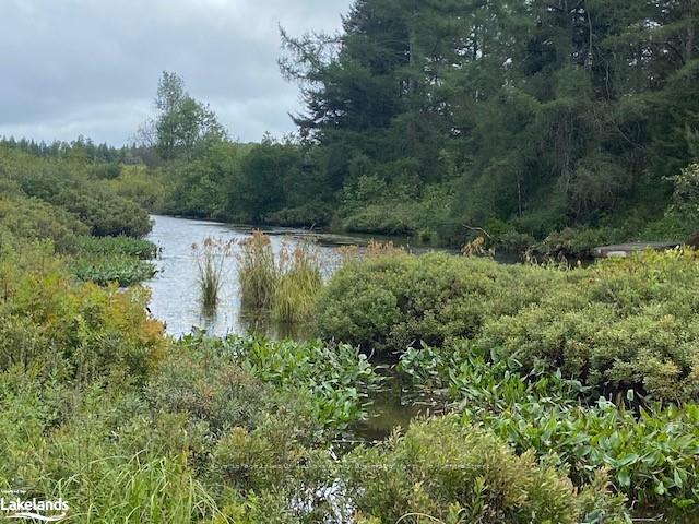 Photo 4 of 573 Muskoka Road, Strong — HOMEH
