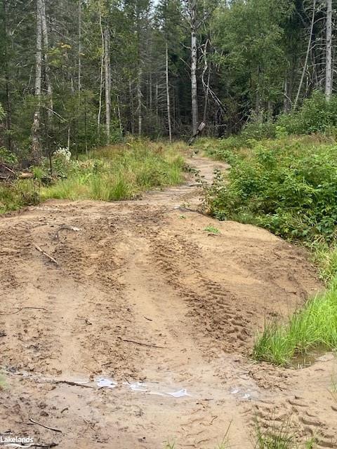 Photo 7 of 573 Muskoka Road, Strong — HOMEH