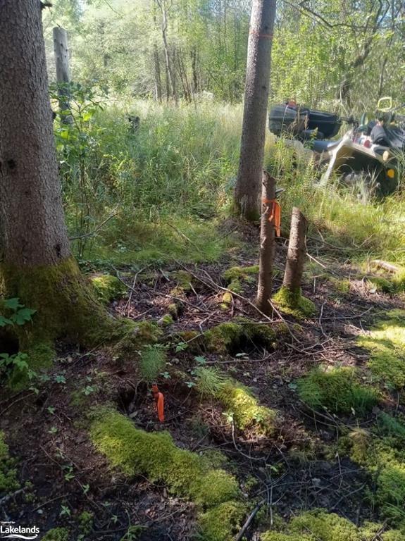 Photo 12 of 573 Muskoka Road, Strong — HOMEH