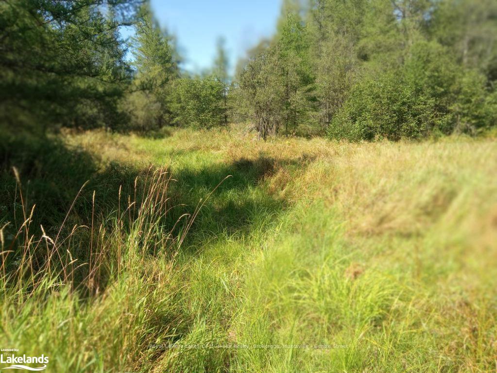 Photo 13 of 573 Muskoka Road, Strong — HOMEH
