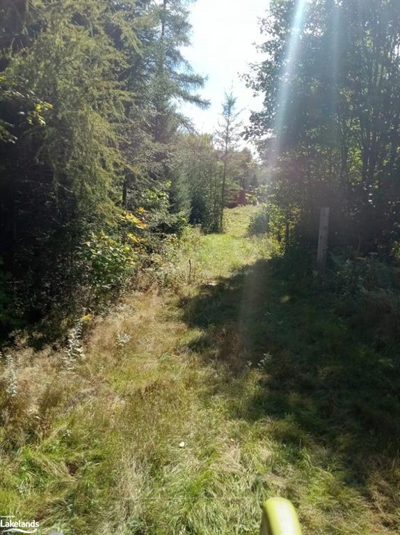 Photo 14 of 573 Muskoka Road, Strong — HOMEH