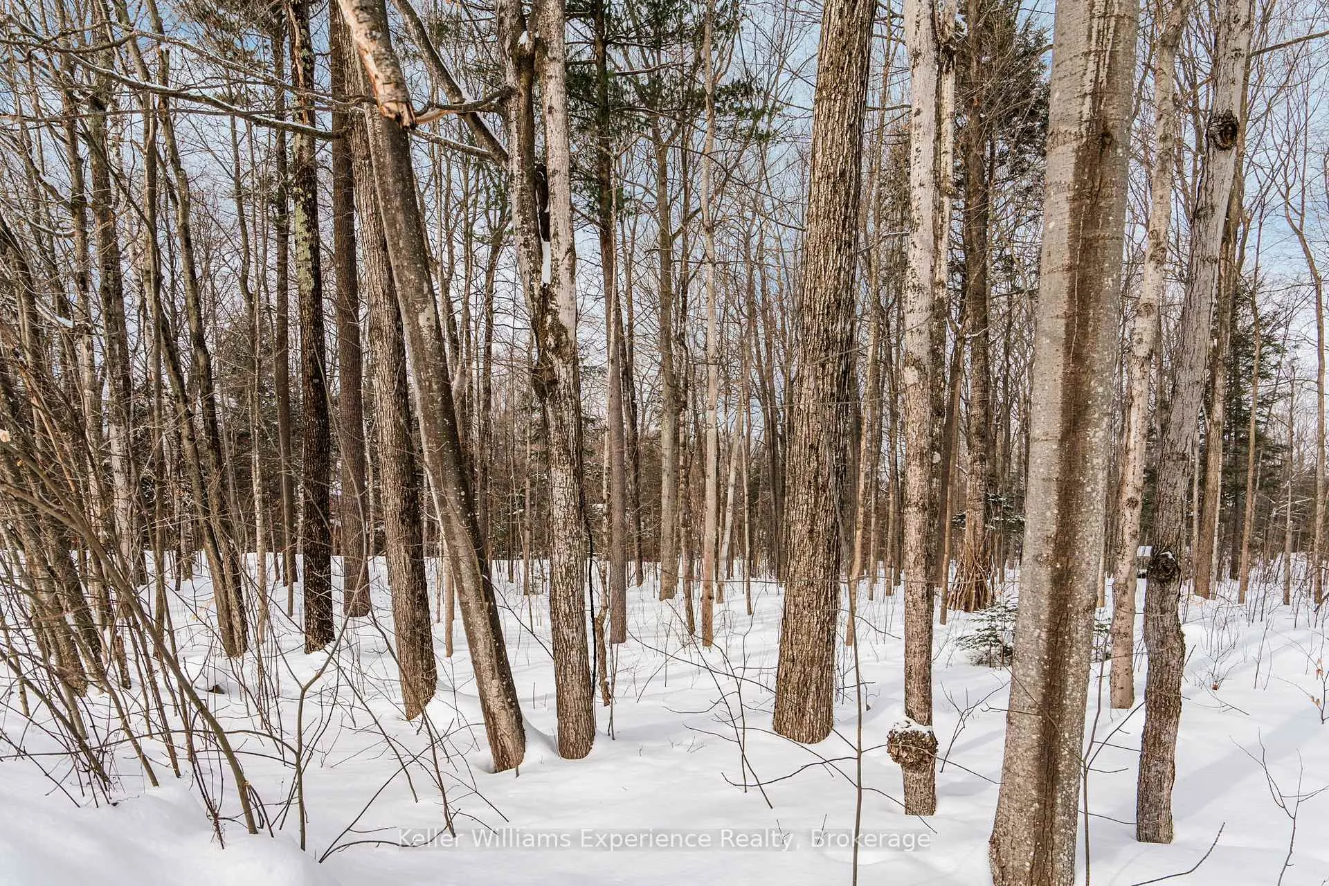 Photo 29 of LOT 268 Celestine Court, Tiny, Rural Tiny — HOMEH