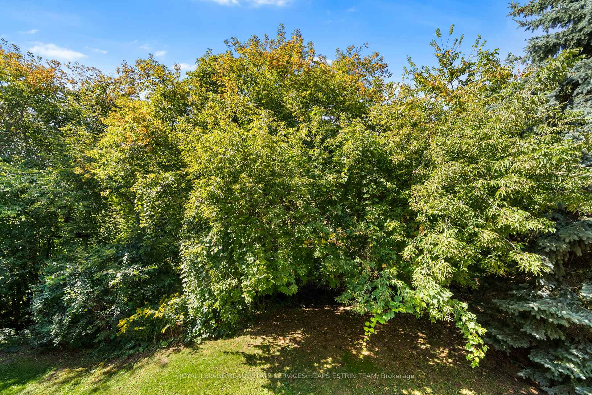 Photo 34 of 44 True Davidson Drive, Toronto, Leaside — HOMEH