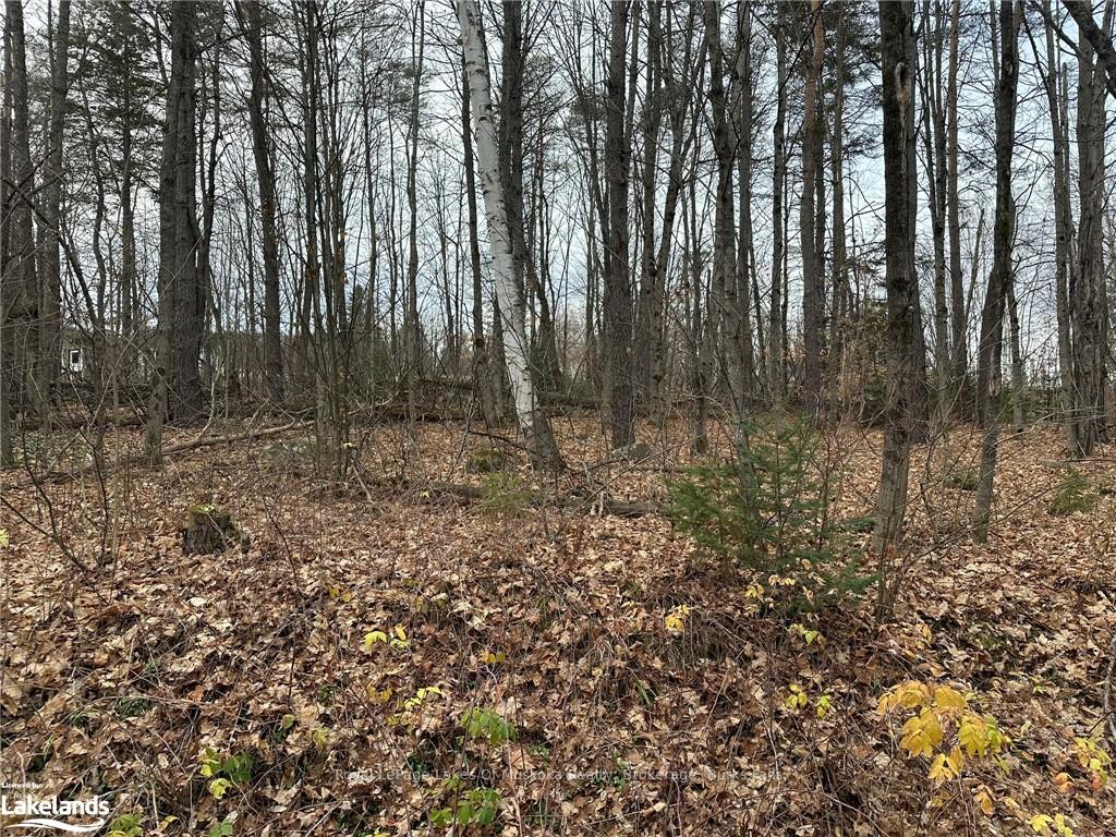 Photo 13 of Golf Lane, Strong — HOMEH