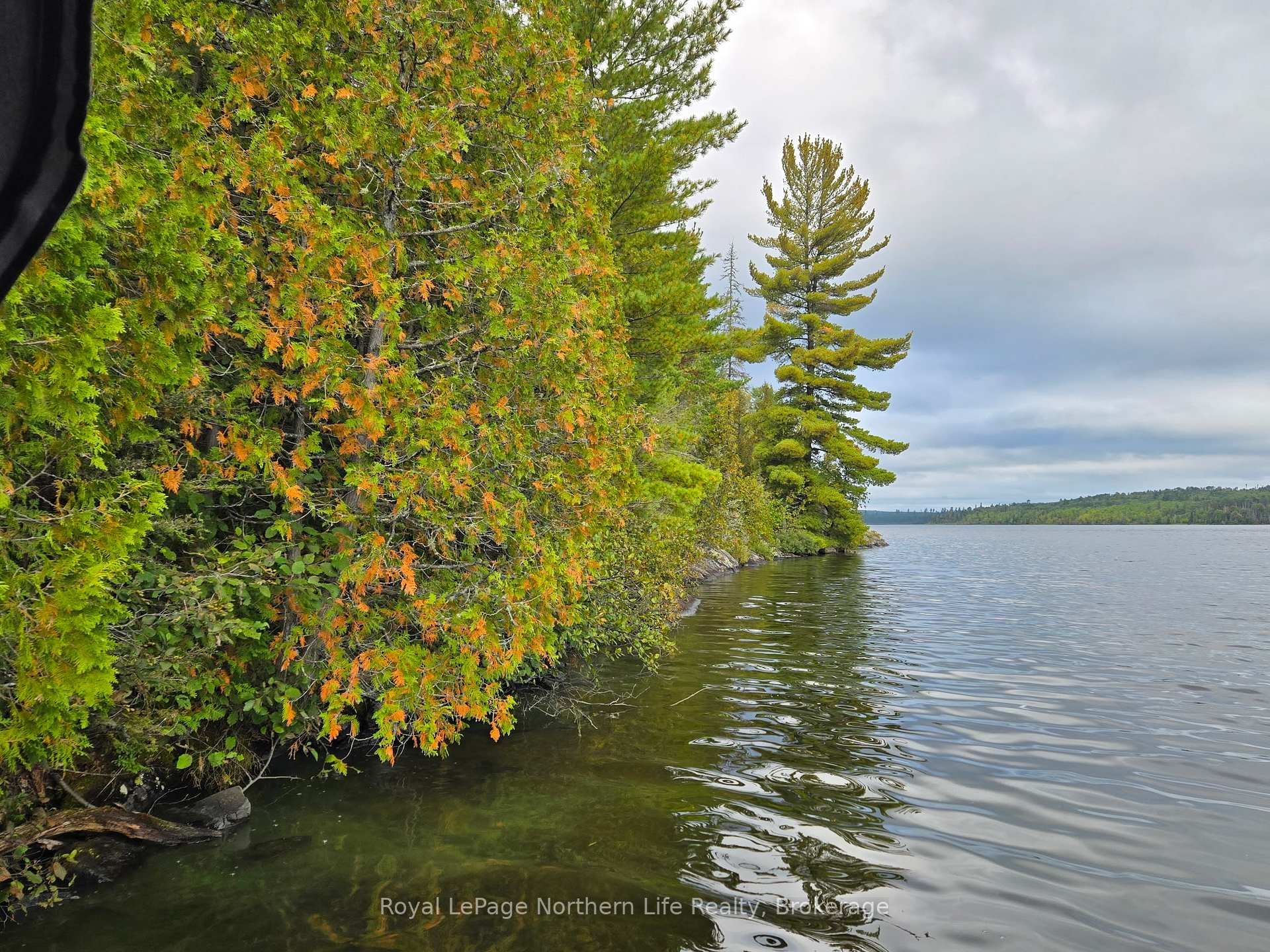 Photo 6 of PT Broken Lt 19 Con 4, Timiskaming, TIM - Outside - Rural — HOMEH