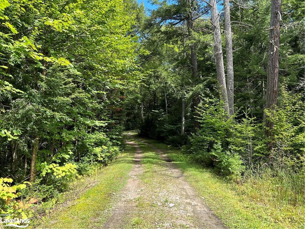Photo 1 of 1241 Rodeo Road, Strong — HOMEH