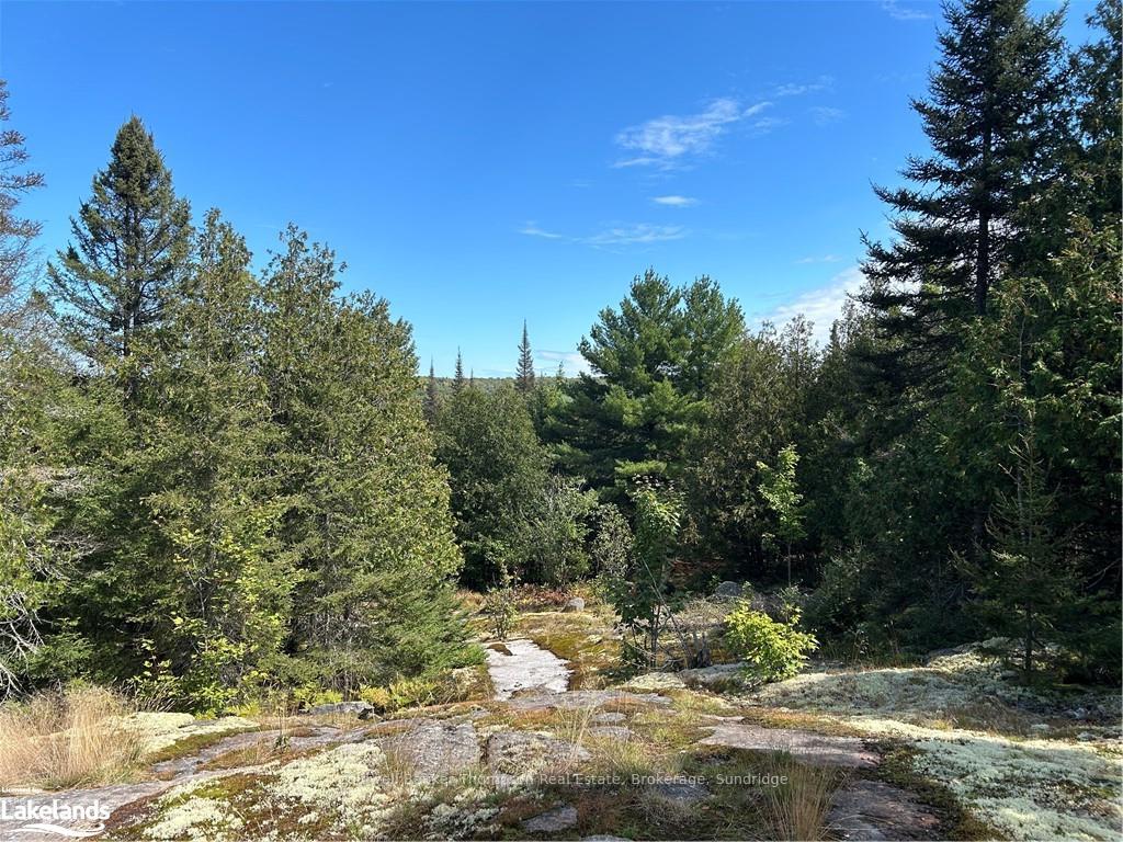 Photo 3 of 1241 Rodeo Road, Strong — HOMEH
