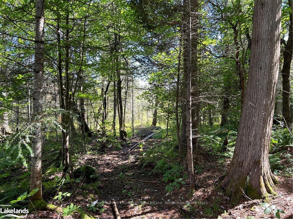 Photo 15 of 1241 Rodeo Road, Strong — HOMEH