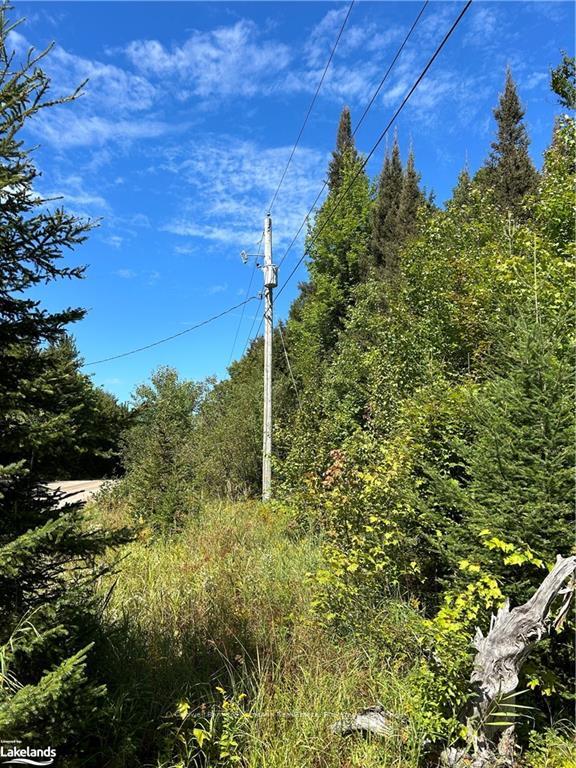 Photo 21 of 1241 Rodeo Road, Strong — HOMEH