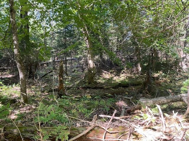 Photo 3 of 1279 Con 12, Tay Valley, Bathurst/Burgess & Sherbrooke (Bathurst) Twp — HOMEH