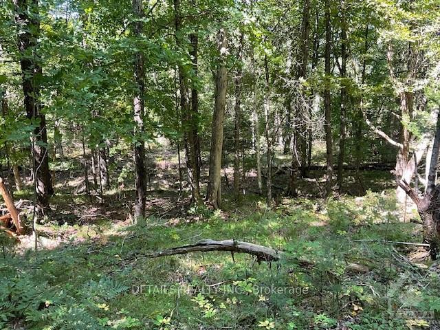 Photo 4 of 1279 Con 12, Tay Valley, Bathurst/Burgess & Sherbrooke (Bathurst) Twp — HOMEH