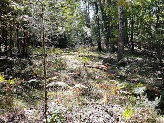 Photo 5 of 1279 Con 12, Tay Valley, Bathurst/Burgess & Sherbrooke (Bathurst) Twp — HOMEH