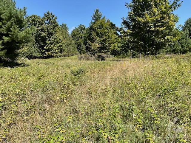 Photo 8 of 1279 Con 12, Tay Valley, Bathurst/Burgess & Sherbrooke (Bathurst) Twp — HOMEH