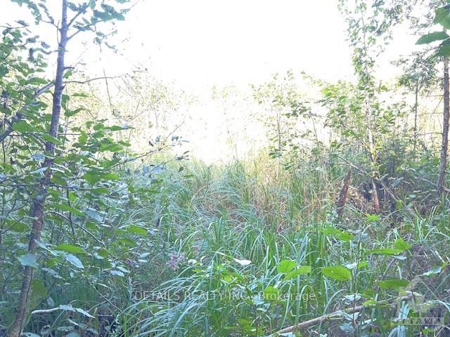 Photo 9 of 1279 Con 12, Tay Valley, Bathurst/Burgess & Sherbrooke (Bathurst) Twp — HOMEH