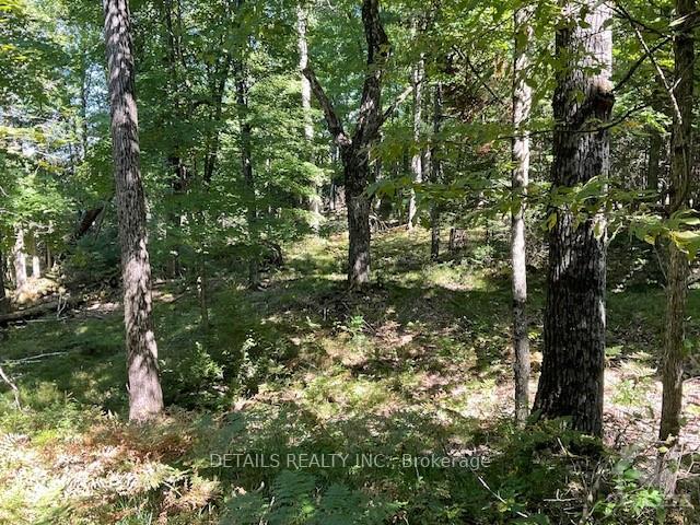 Photo 10 of 1279 Con 12, Tay Valley, Bathurst/Burgess & Sherbrooke (Bathurst) Twp — HOMEH