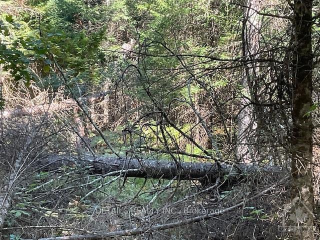 Photo 16 of 1279 Con 12, Tay Valley, Bathurst/Burgess & Sherbrooke (Bathurst) Twp — HOMEH