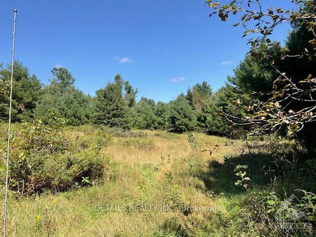Photo 18 of 1279 Con 12, Tay Valley, Bathurst/Burgess & Sherbrooke (Bathurst) Twp — HOMEH