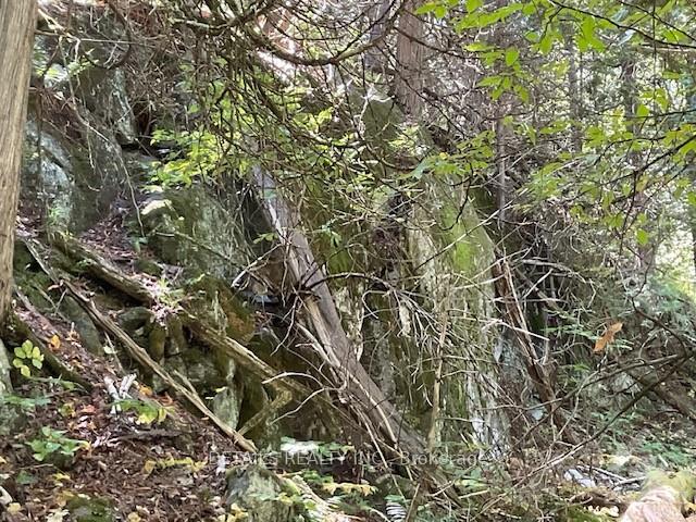 Photo 19 of 1279 Con 12, Tay Valley, Bathurst/Burgess & Sherbrooke (Bathurst) Twp — HOMEH