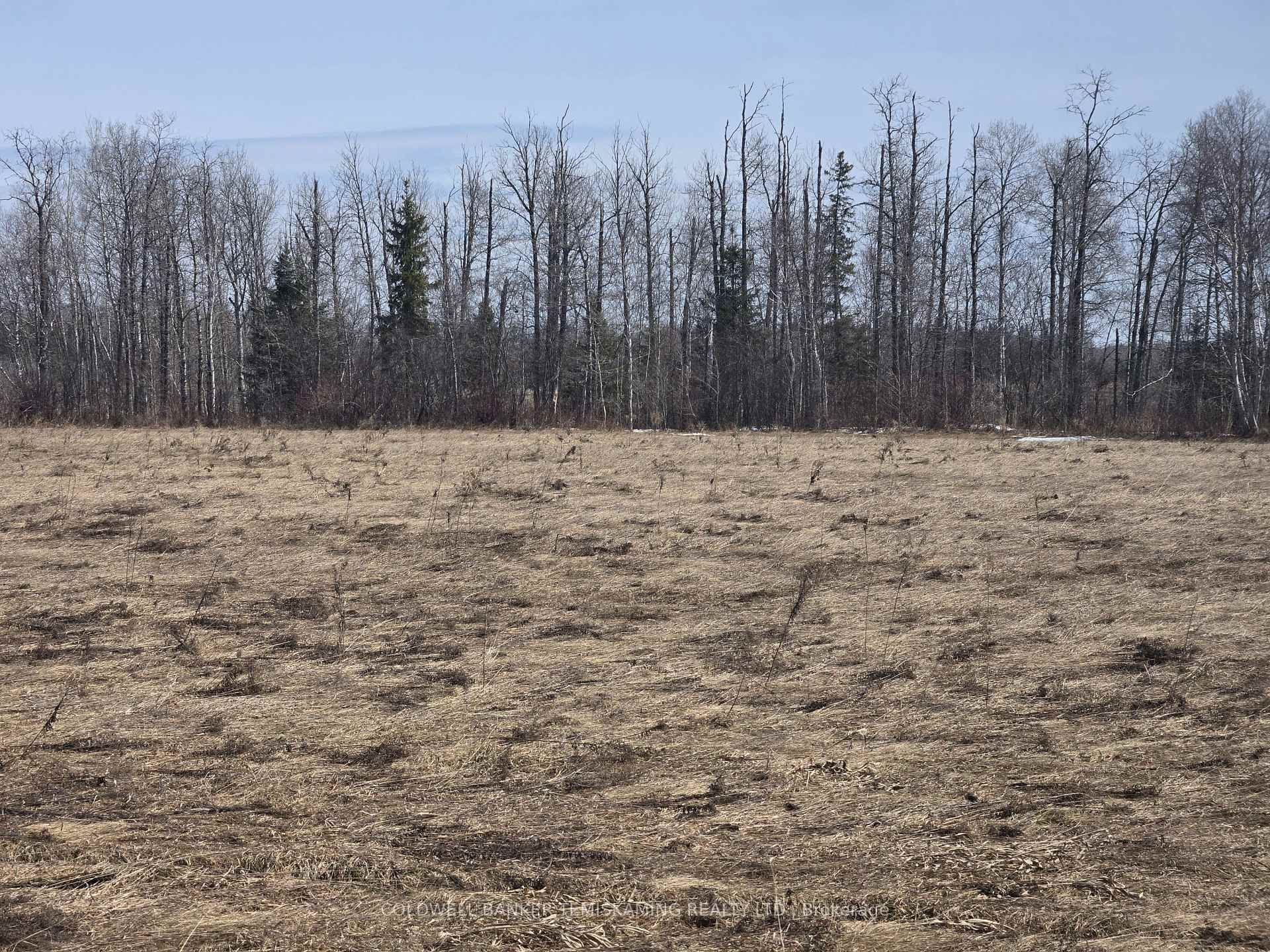 Photo 7 of LOT 2 Rosedale Avenue, Timiskaming, TIM - Outside - Rural — HOMEH
