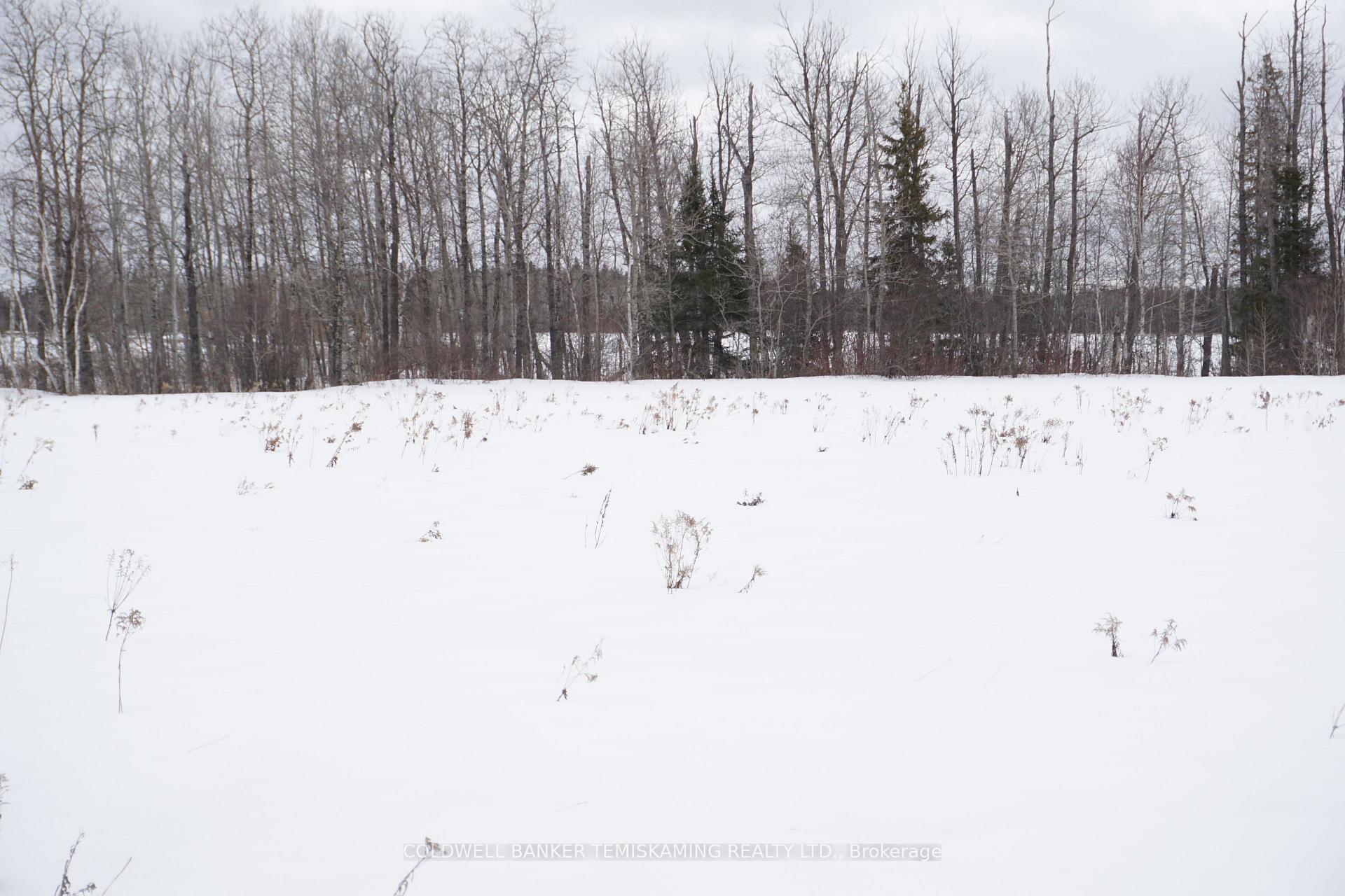 Photo 9 of LOT 2 Rosedale Avenue, Timiskaming, TIM - Outside - Rural — HOMEH