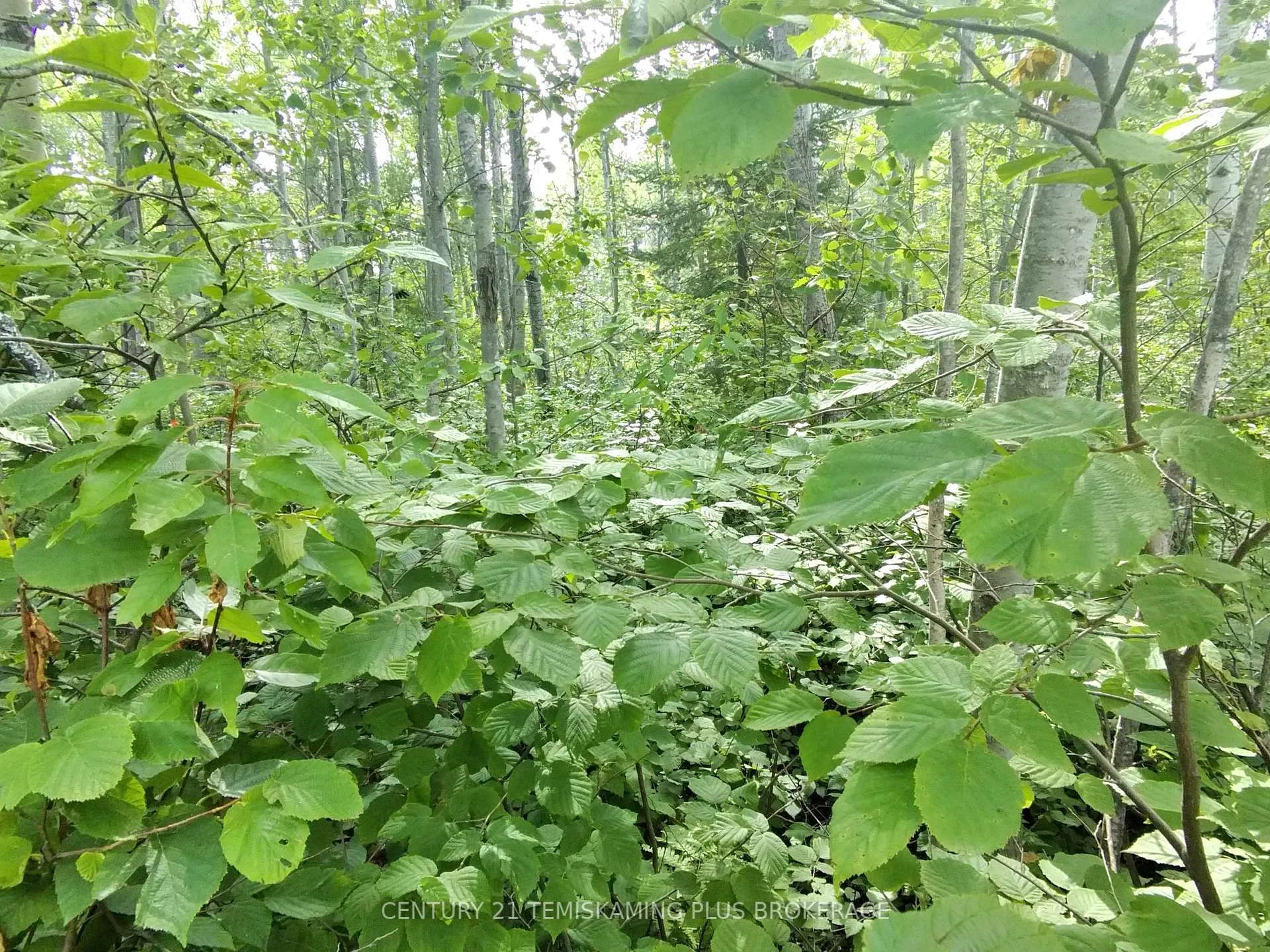 Photo 1 of Part 6 Girl Guide Road, Timiskaming, TIM - Outside - Rural — HOMEH