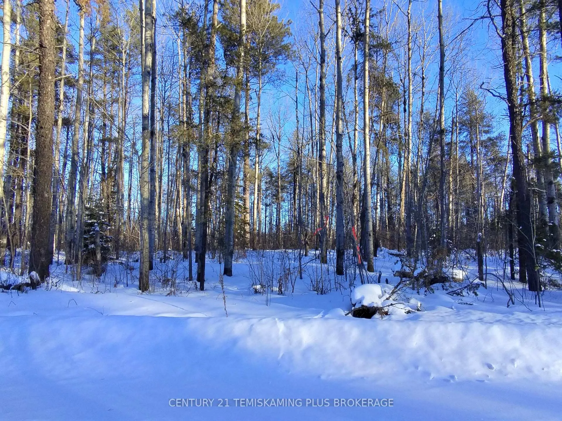 Photo 1 of Part 12 Girl Guide Road, Timiskaming, TIM - Outside - Rural — HOMEH