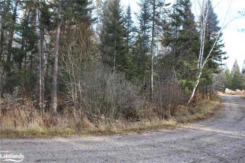 Photo 2 of Bucko Mcdonald Drive, Strong — HOMEH