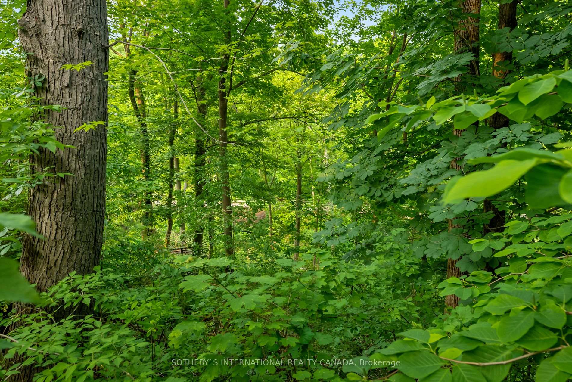 Photo 17 of 189 Hudson Drive, Toronto, Rosedale-Moore Park — HOMEH