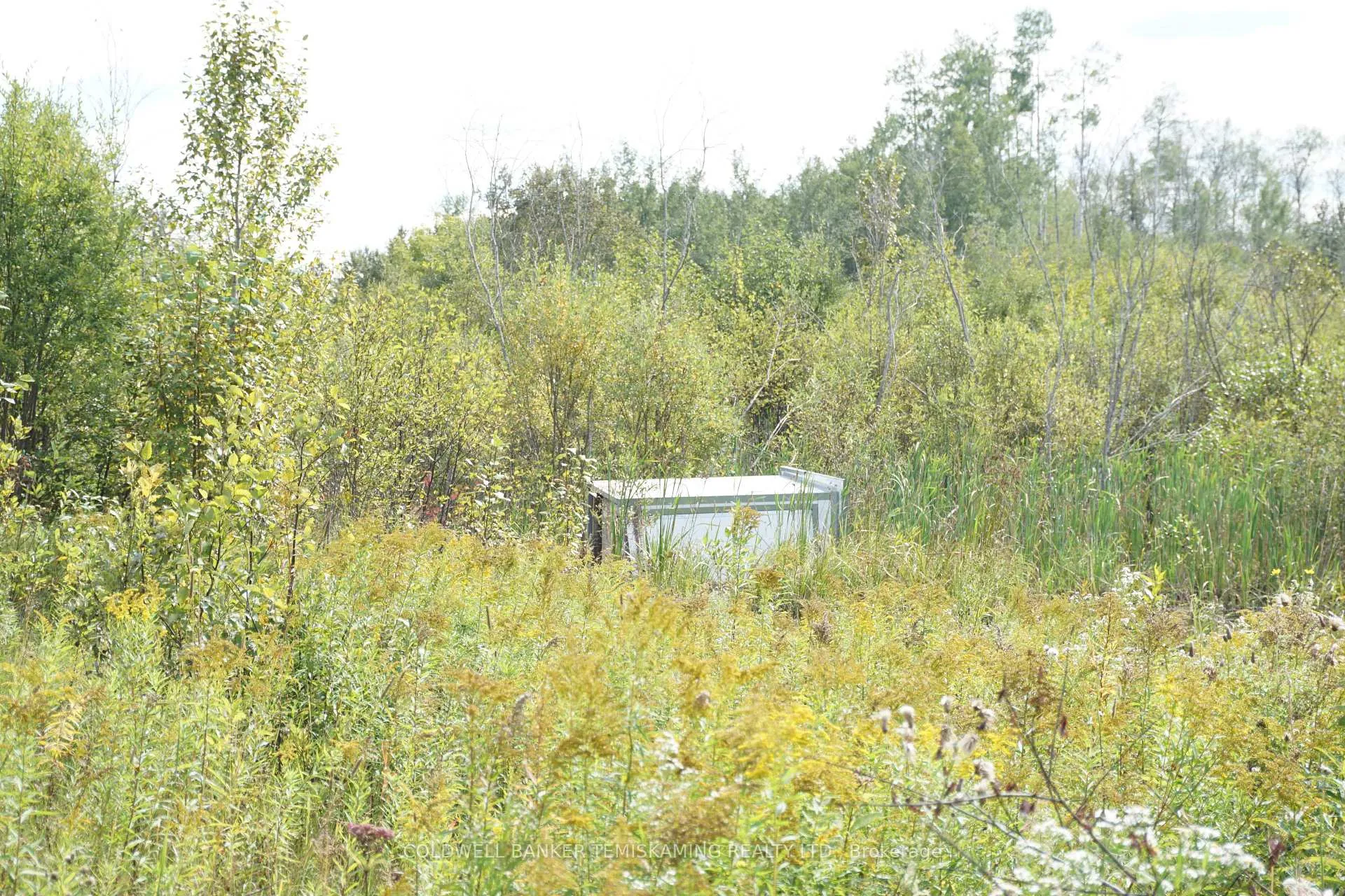Photo 24 of Lot 1 Campbell'S Road, Timiskaming, TIM - Outside - Rural — HOMEH