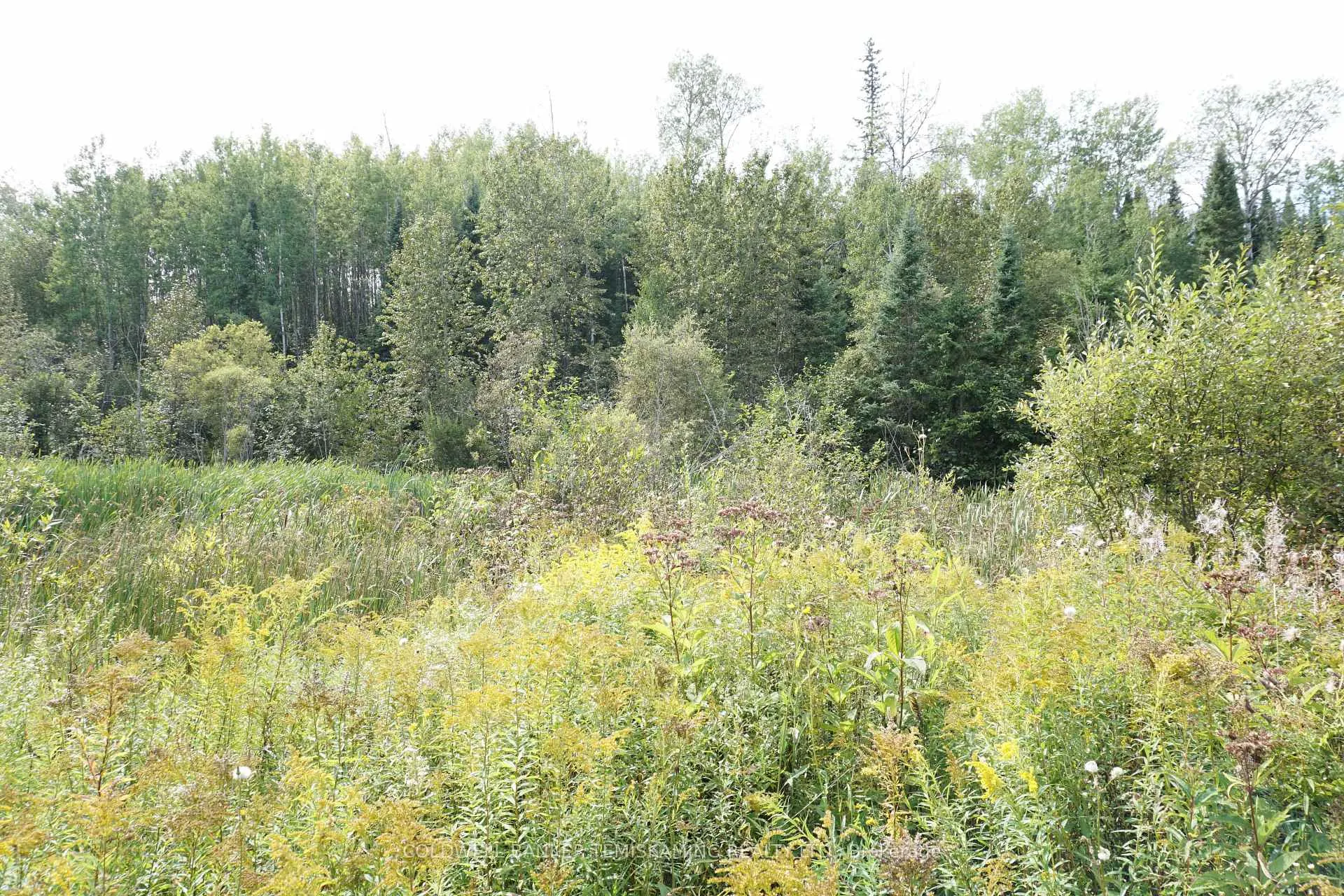 Photo 25 of Lot 1 Campbell'S Road, Timiskaming, TIM - Outside - Rural — HOMEH