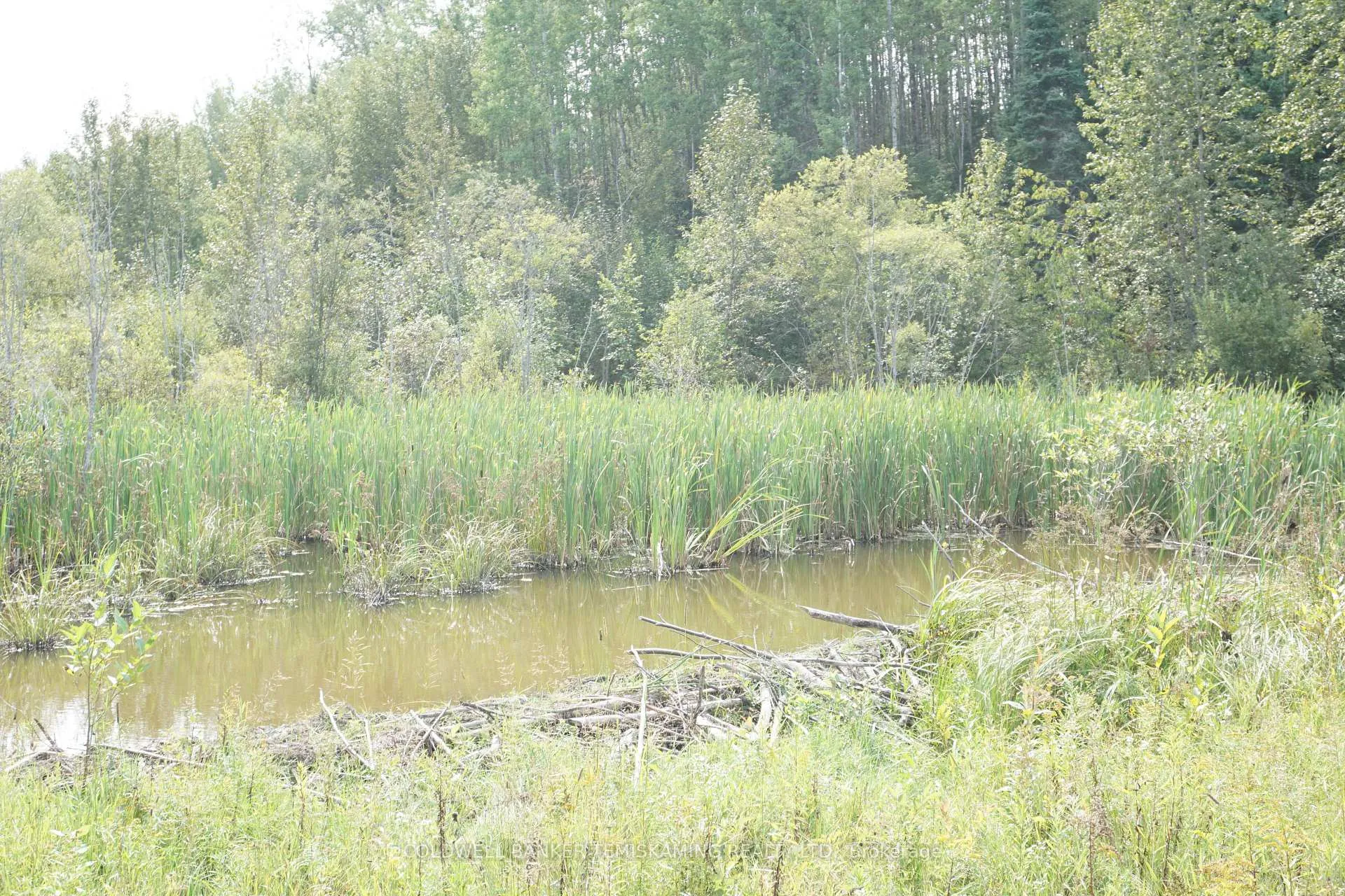 Photo 26 of Lot 1 Campbell'S Road, Timiskaming, TIM - Outside - Rural — HOMEH