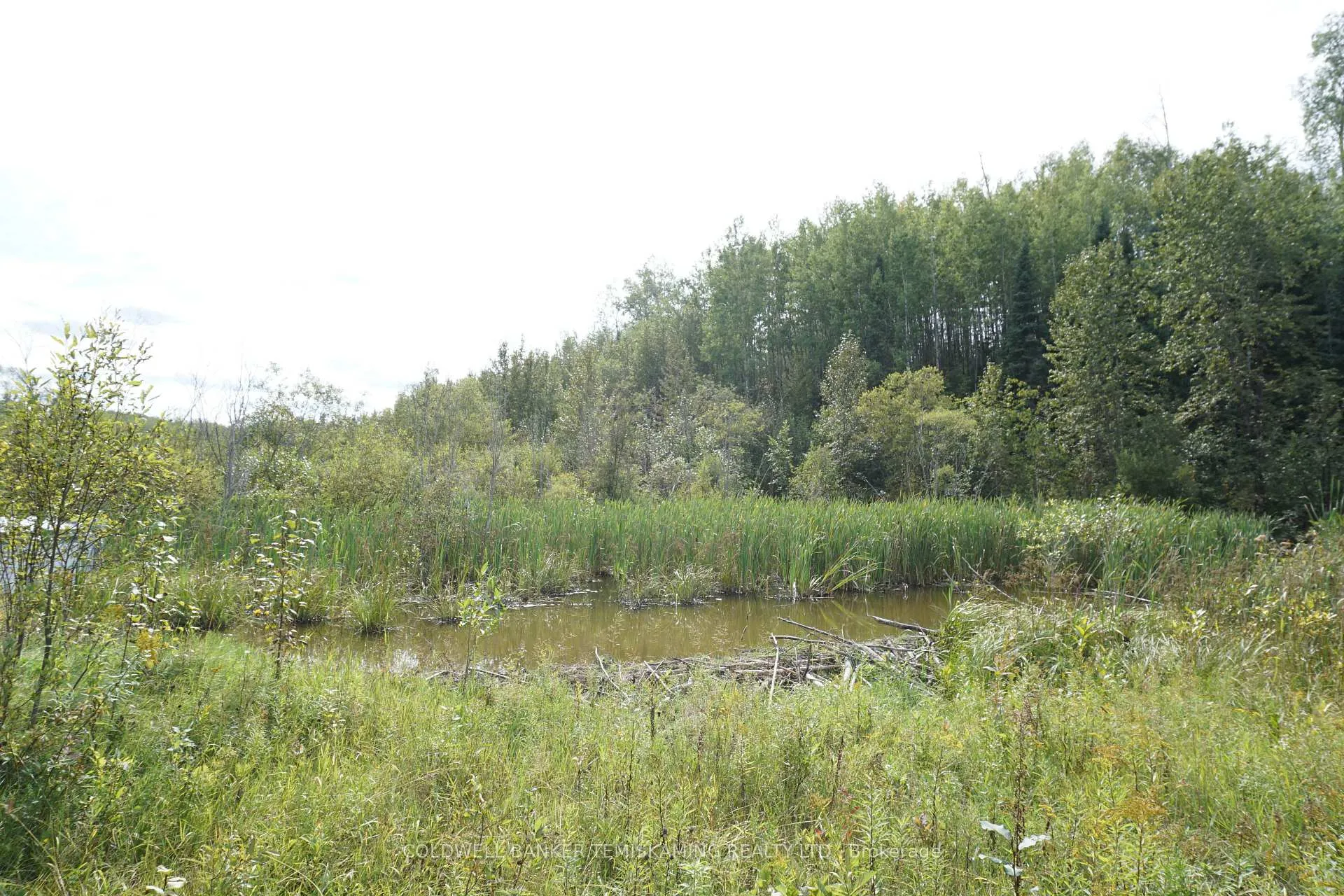 Photo 27 of Lot 1 Campbell'S Road, Timiskaming, TIM - Outside - Rural — HOMEH